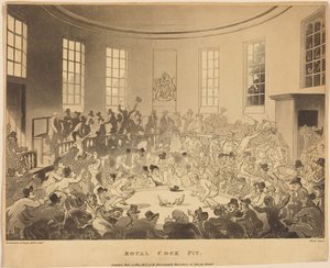 Royal Cock Pit by Thomas Rowlandson