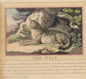 Set of eight with title-page. 