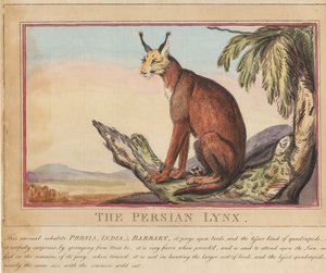 Set of eight with title-page. 