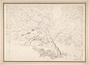 Study of Trees by Thomas Rowlandson
