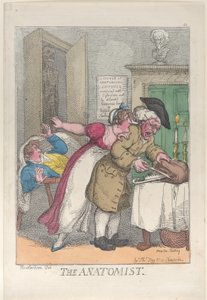 The Anatomist