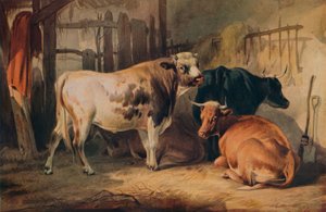 A Bull and Three Cows in a Stable, c. 1856 by Thomas Sidney Cooper