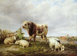 Cattle in the Meadow by Thomas Sidney Cooper