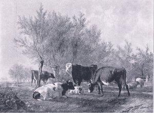 Landscape with cattle, from The Magazine of Art 1893, Cassell and Company