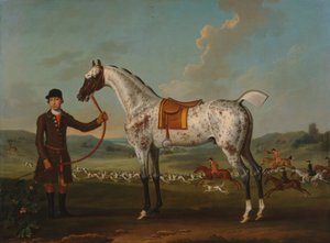 Scipio, a Spotted Hunter, the Property of Colonel Roche by Thomas Spencer