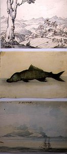 Three illustrations from 