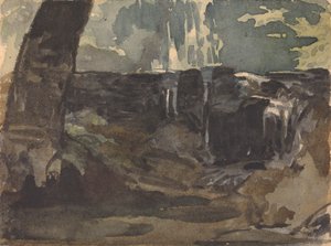 Rocky Landscape, Large Tree Trunk in Foreground