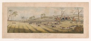 Pack of Foxhounds Hunting a Fox by Thomas Sutherland