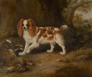 A Spaniel with a Dead Hare by Thomas W. Bretland