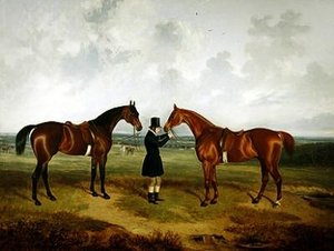 Before the Hunt