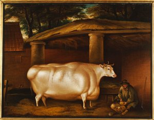 The White Heifer that Travelled, with a man slicing turnips in a stable yard, 1811 by Thomas Weaver