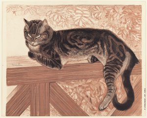 Summer: Cat on a Balustrade