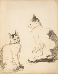 The Two Cats