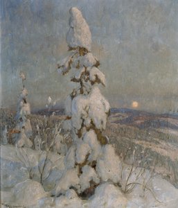Snow Covered Spruce in Moonlight