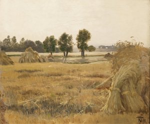 Field with Sheaves of Corn