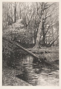 Forest Landscape with a Stream by Thorvald Niss