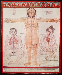 Anatomical Chart, 1938