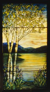Landscape window of a distant view across water with birch trees and irises in the foreground