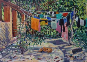 Laundry Shadows