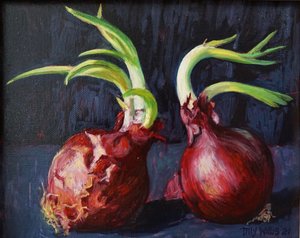 Onions by Tilly Willis