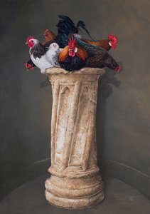 Hens, Eyes Down by Tim Hayward