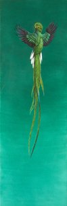 Quetzal