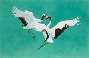 The Dance-Green by Tim Hayward