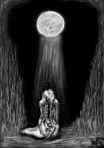 Moonlit Embrace by Tim Hoinkis