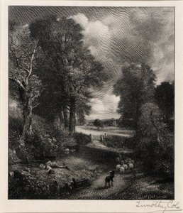 Cornfield