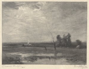 Landscape, Afternoon by Timothy Cole