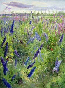 Delphiniums and Emerging Sun by Timothy Easton