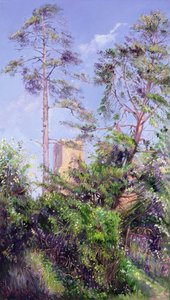Pine Tree and Tower