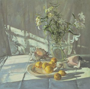 Reflections and Shadows by Timothy Easton