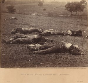 Field Where General Reynolds Fell, Gettysburg, July 5, 1863 by Timothy H. O