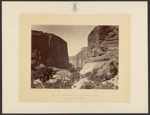 Head of Cañon de Chelle, Looking Down. Walls About 1,200 Feet in Height. by Timothy H. O