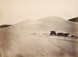 Sand Dunes, Carson Desert, Nevada by Timothy H. O