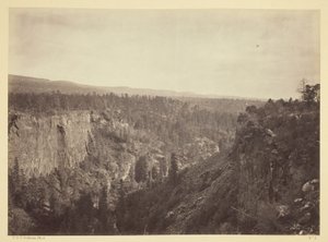 North Fork Canyon, Sierra Blanca Creek, Arizona