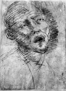 Head of a Moor