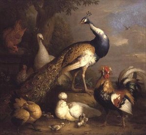 Peacock, Peahen and Poultry in a Landscape by Tobias Stranover