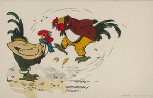 Saturday night, two chickens fighting