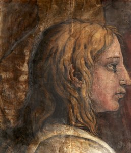 A Head from the Cartoon for the Tapestry of The Presentation in the Temple, c.1524