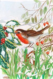 Robin and Snowdrops