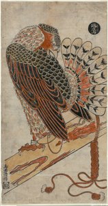 Sparrowhawk by Torii Kiyomasu I