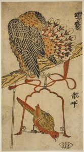 Sparrowhawk and Macaw by Torii Kiyomasu I