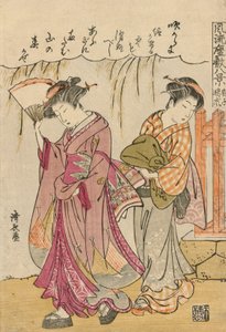 A Fan Suggesting a Dispersed Storm