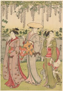 Admiring the Wisteria at Kameido Shrine