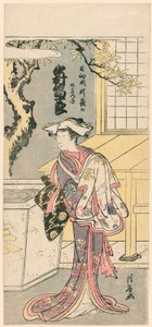 Nakamura Tomijuro I as a Female Fox in the Scene from the Play, Chigo Torii Tobiiri Gitsune by Torii Kiyonaga