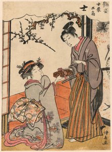 The Samurai (Shi) from the Series Beauties Illustrating the Four Social Classes