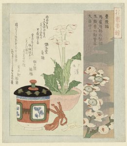 Still Life with Primula in Flower by Totoya Hokkei