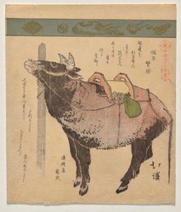 Tethered Ox by Totoya Hokkei